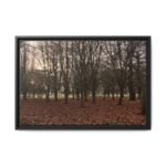 Phoenix Park