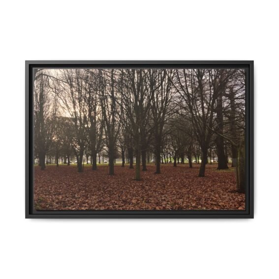 Phoenix Park Black Frame