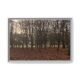 Phoenix Park White Frame