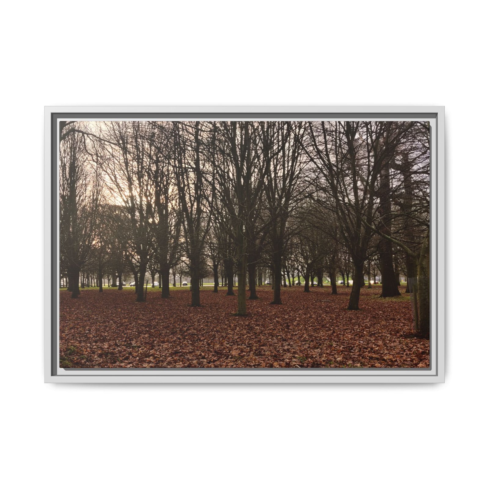 Phoenix Park White Frame