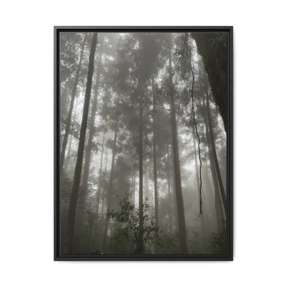 Sikkim Woods Black Frame