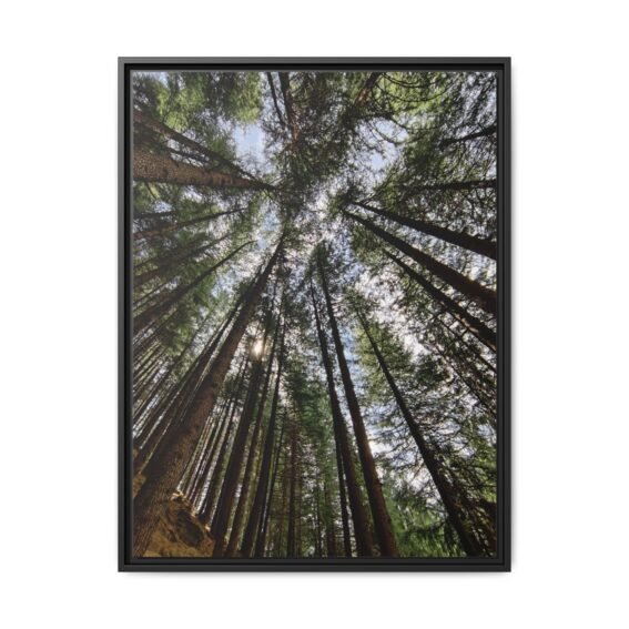 Speaking with the woods, Uttrakhand Black Frame