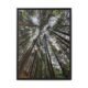 Speaking with the woods, Uttrakhand Black Frame