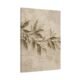 The Olea Suite | Olive Branch Framed Canvas Diptych (Set of 2) - Thumbnail Image 9